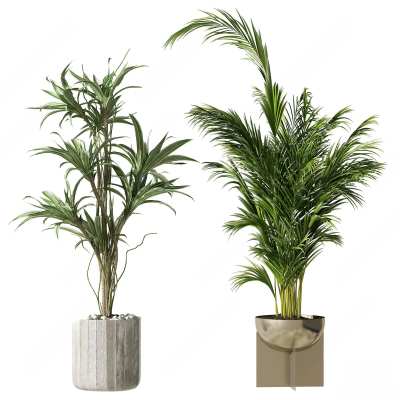 现代植物盆栽3D模型下载